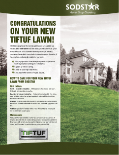TifTuf-Flyer Lawn