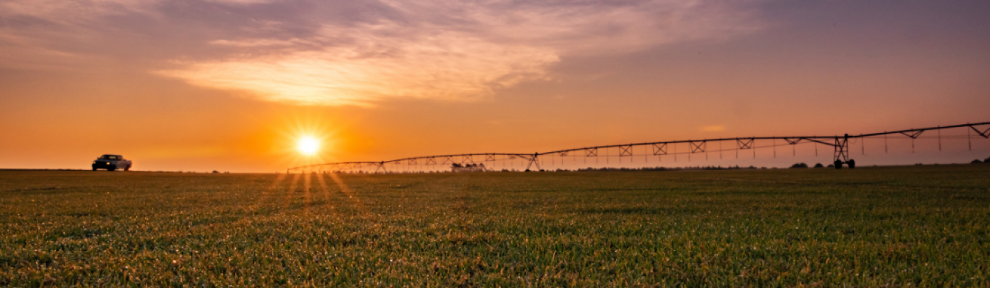 Farm Sunrise NC Farm Sunrise NC